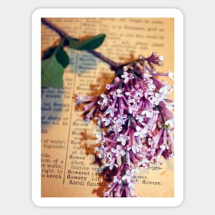 Defining Lilacs Sticker